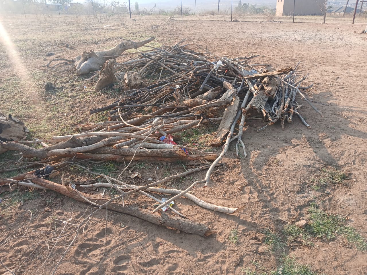 firewood used for cooking at NOMAGOM