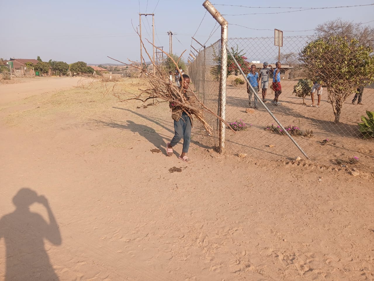 kids carrying firewood
