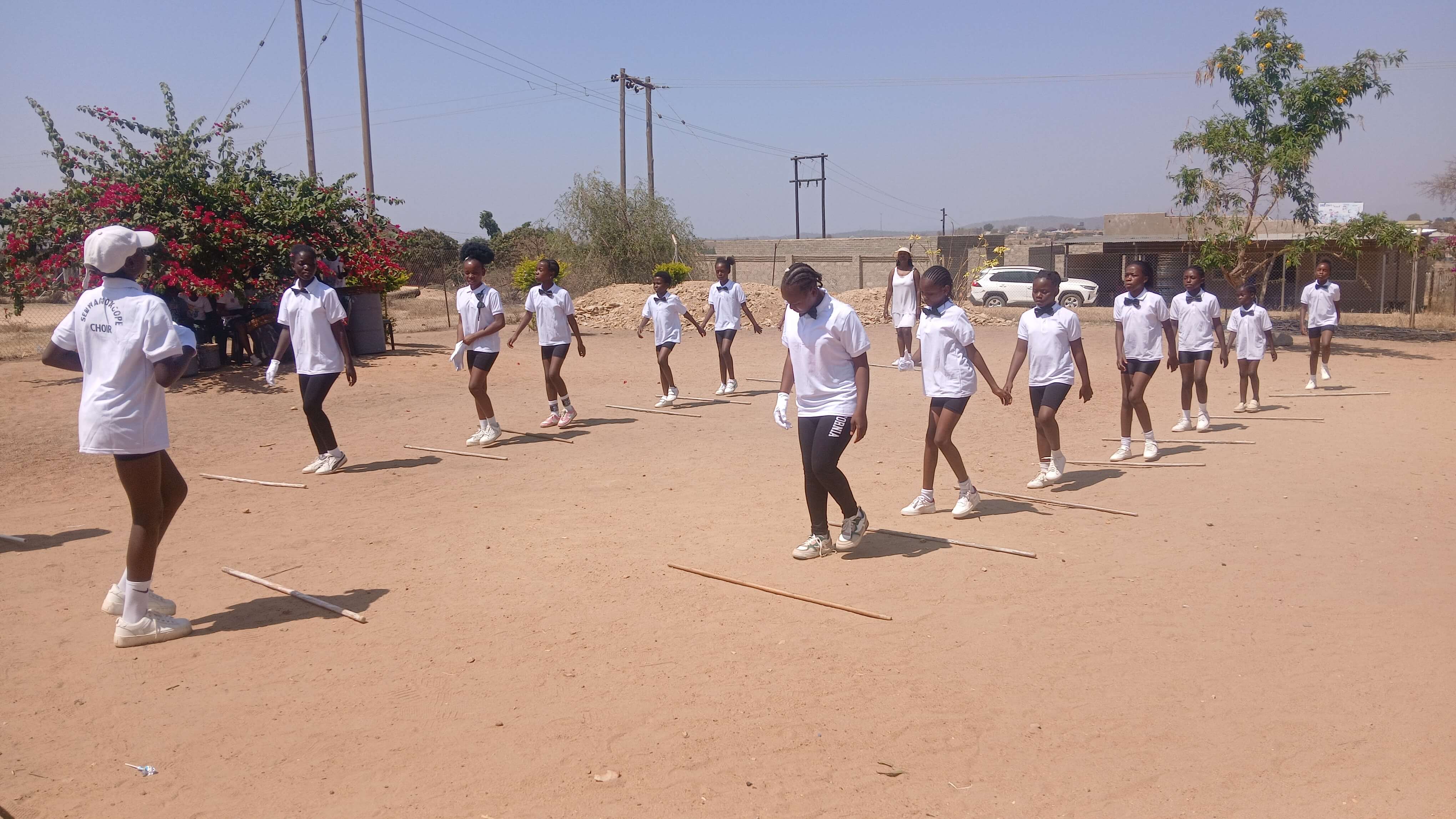 Drum majorettes performance