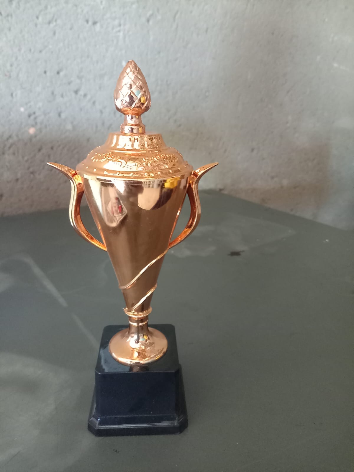 Trophy of Appreciation from Senwamokgope Primary School